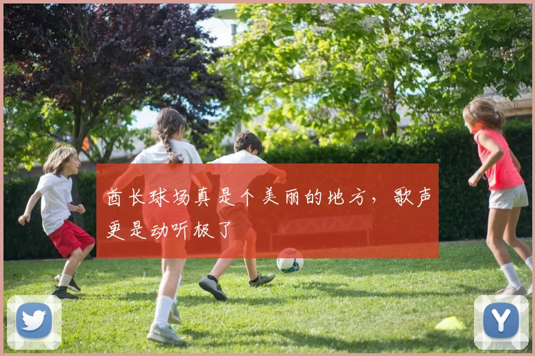 酋长球场真是个美丽的地方,歌声更是动听极了